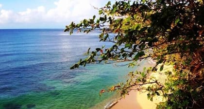 ~ The Kauai Luna ~ Panoramic Ocean - Jungle - Mountain - Waterfall & Sunset View