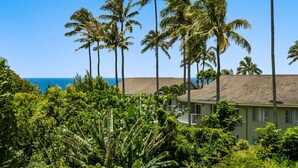 A beachfront property with tall palm trees, a house with a brown roof, and a view of the ocean. - ~ The Kauai Luna ~ Ocean - Waterfall & Sunset View (Princeville)