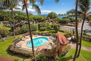 A circular pool with lounge chairs, surrounded by palm trees and greenery, with a view of the ocean and a road in the background.