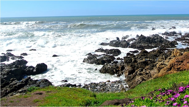 A rocky coastline with waves crashing against the shore and a grassy area with purple flowers.
