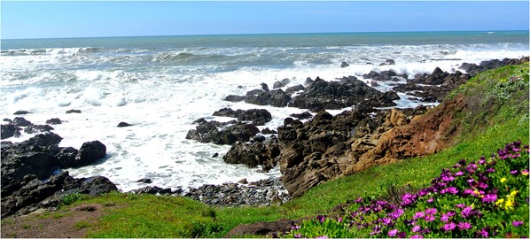 Camastros y toallas de playa 