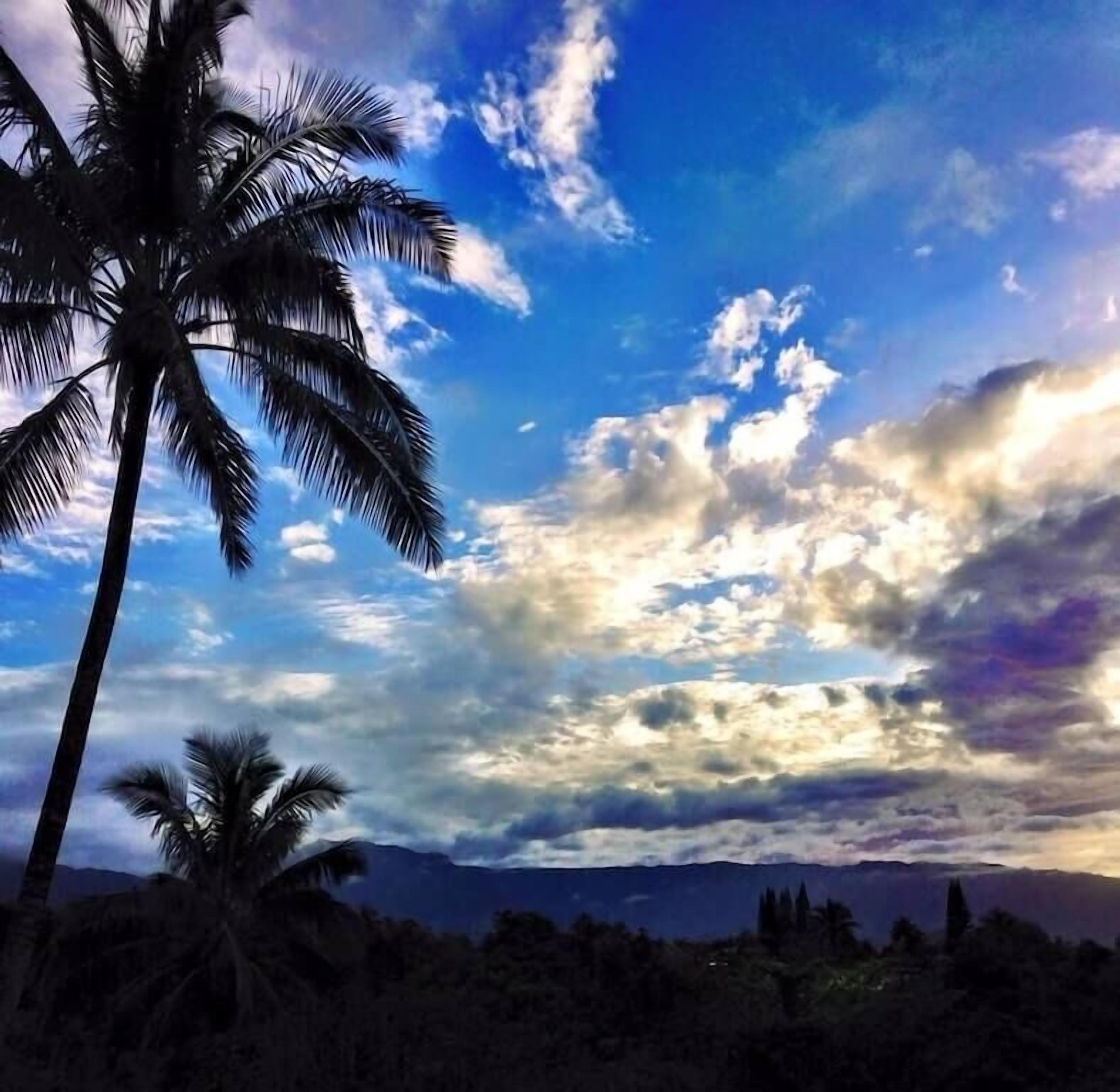 Un paisaje tropical con palmeras y una cadena montañosa a lo lejos, bajo un cielo parcialmente nublado.