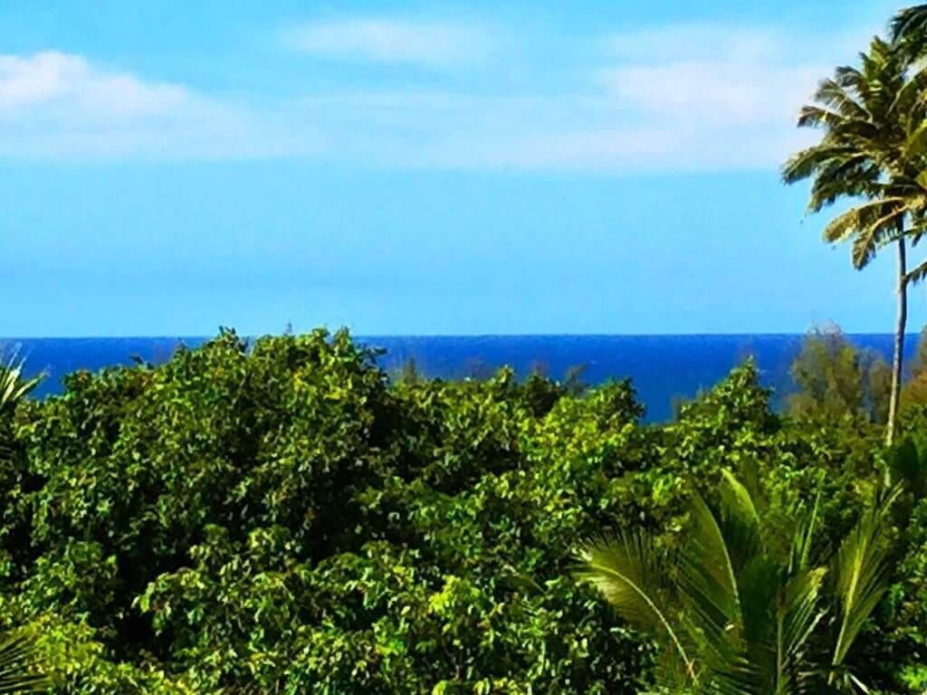 Un paisaje tropical con frondosa vegetación verde y vista al océano.