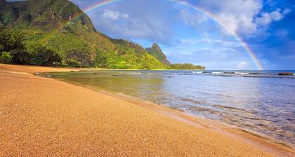 Ocean View ~ Sunsets ~ Jungle ~ Mountain ~