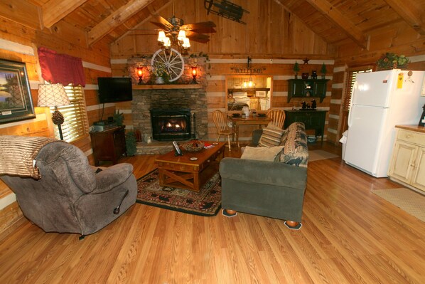 Smart TV, fireplace, DVD player, books