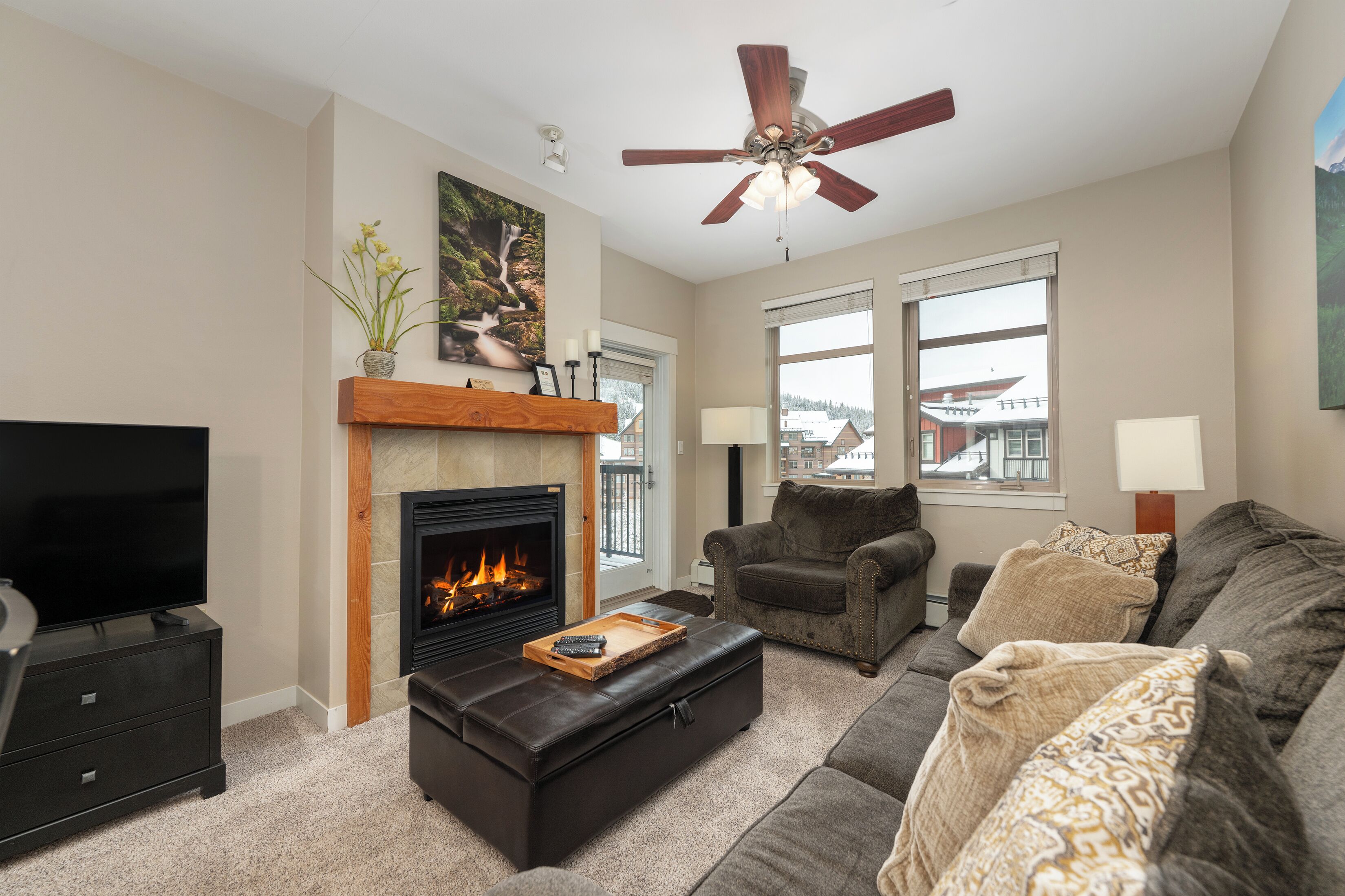 TV, fireplace, video games, DVD player