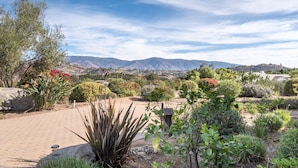 A garden with various plants and a paved walkway. - San Diego Country Barndominium, Mountain Views, Spa, Deck, & More. (Valley Center)