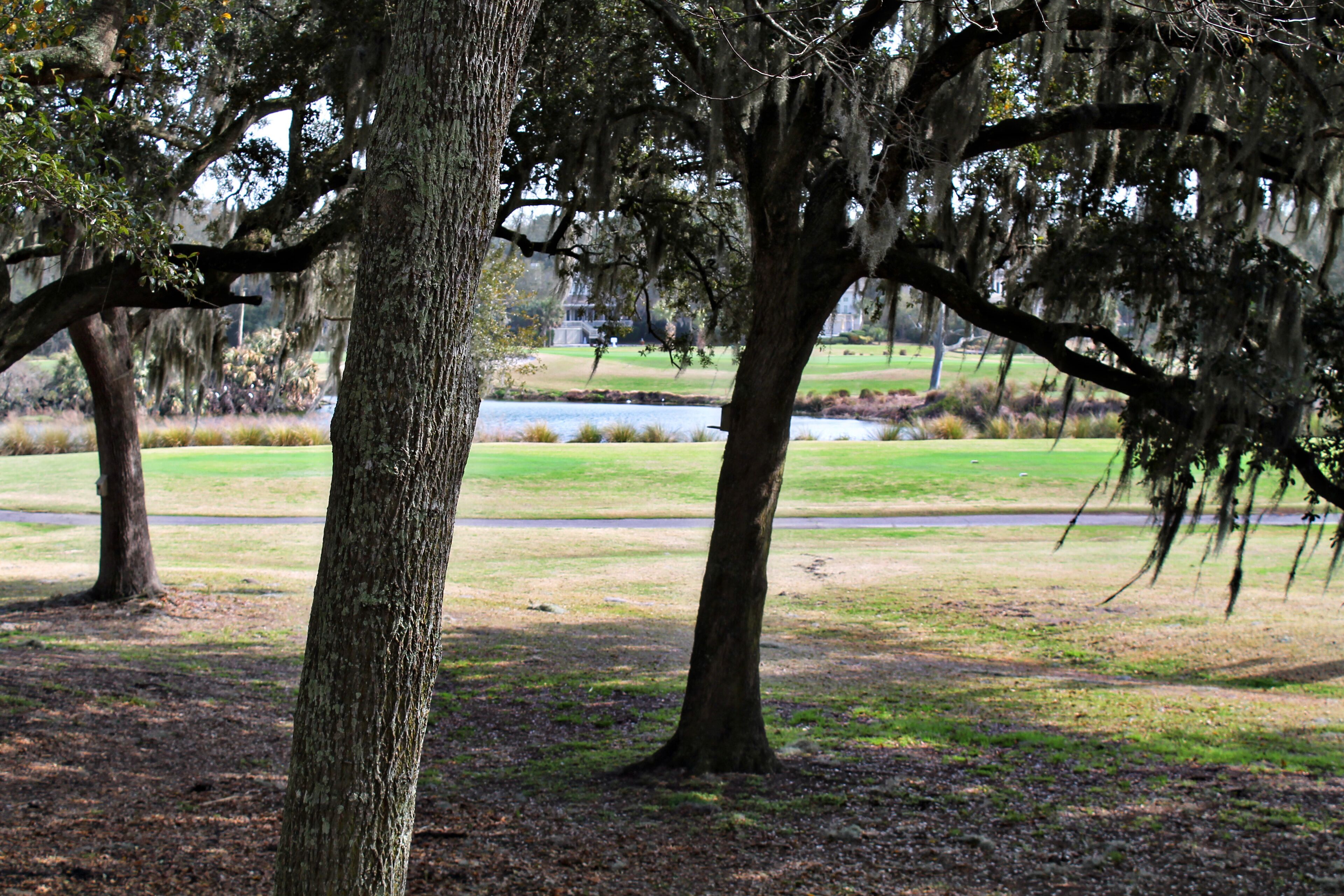 A park with mature trees and a grassy area.
