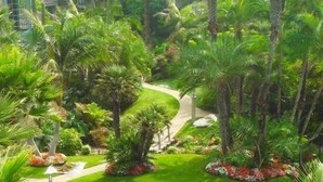 Un jardin luxuriant, avec des palmiers et un sentier sinueux.