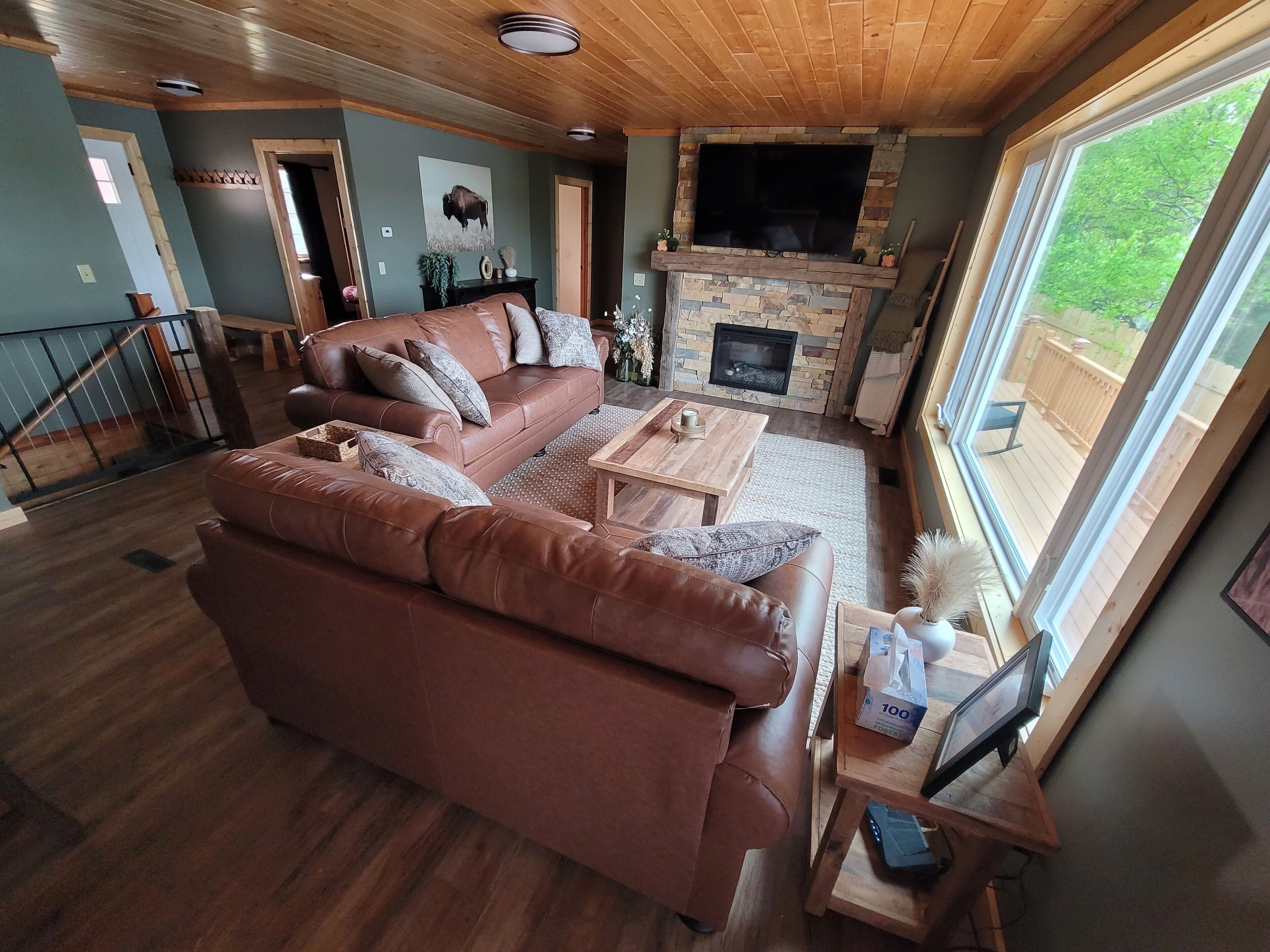 Smart TV, chimenea y reproductor de DVD 