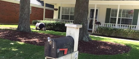 Overnattingsstedets uteområder