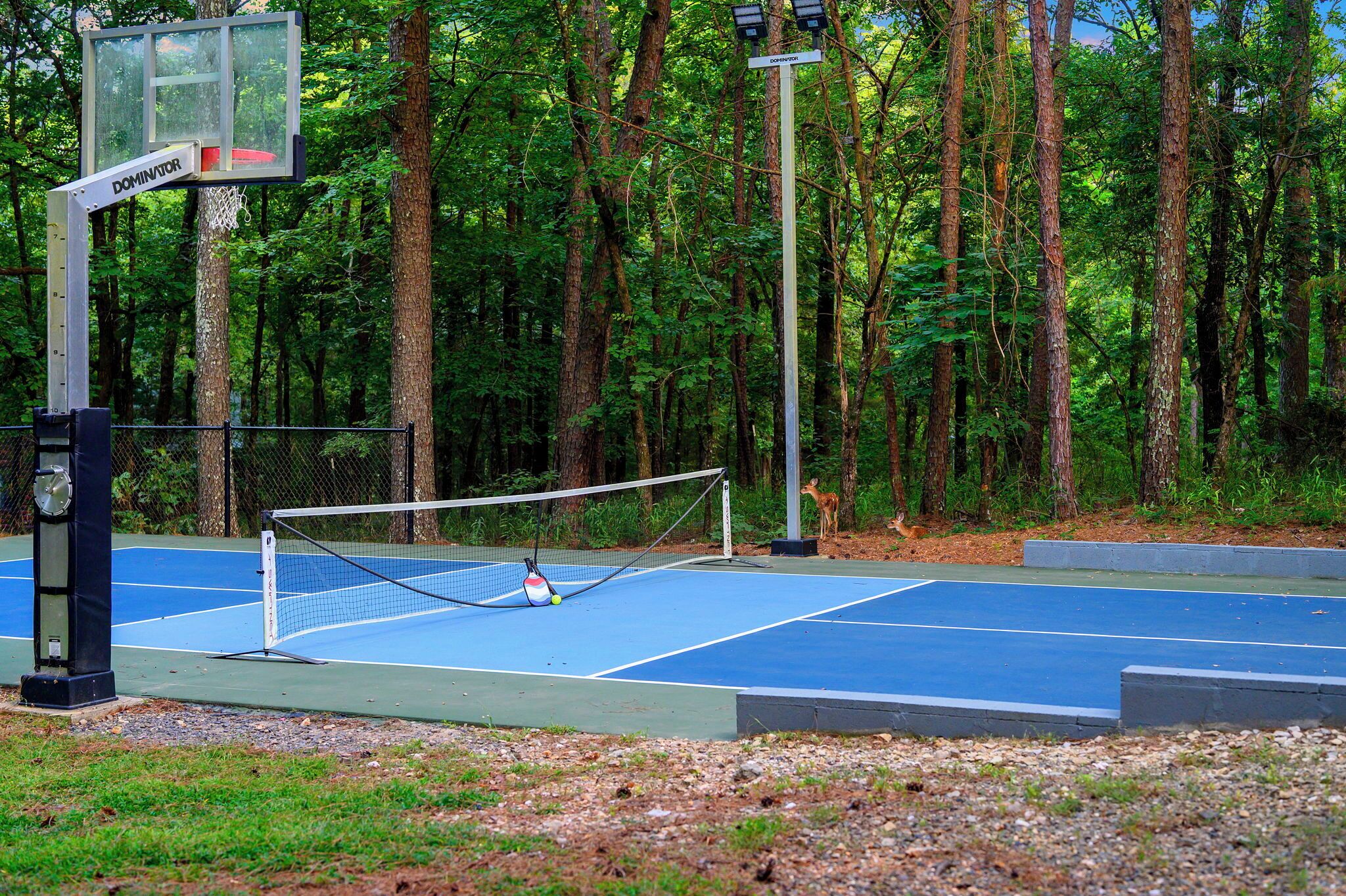 Cancha de tenis exterior con red, rodeada de árboles.