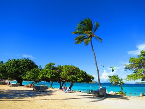 Ein Strand mit Palmen, blauem Himmel und ruhiger See.