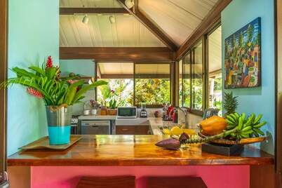 Ocean view luxury property with pool in the jungle at 10 min walk to the beach.