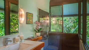 Shower, jetted tub, eco-friendly toiletries, hair dryer