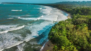 A coastal landscape with a beach, ocean waves, and dense greenery.