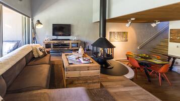 TV, fireplace, DVD player, video library