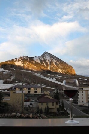 Property grounds - Rustic Modern Retreat! 3bed/2bath Close to Lifts (Crested Butte)