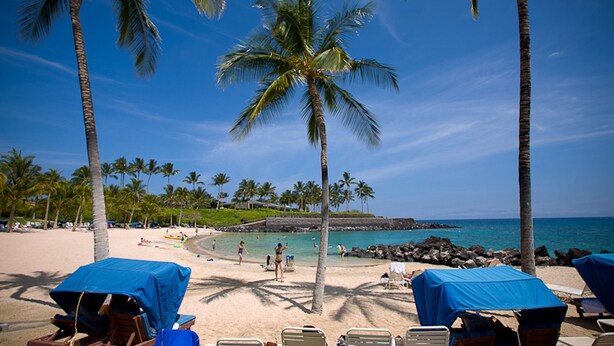 A beach with palm trees, lounge chairs, and a view of the ocean. - Best of Mauna Lani! Clean, Spacious Resort Townhome, Pool/Beach Club!  (KAMUELA)