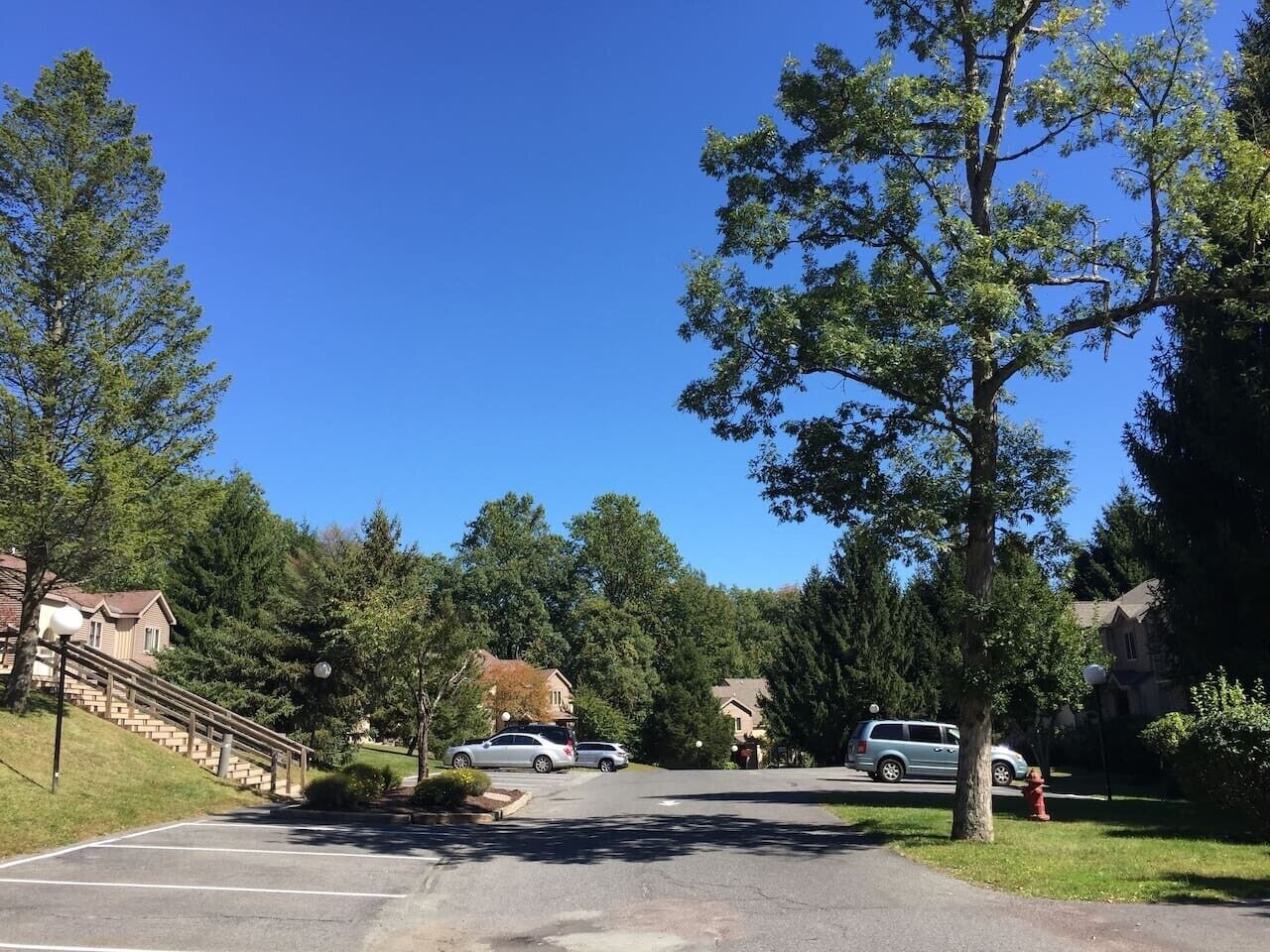 A residential street with parked cars, houses, and a fire hydrant.