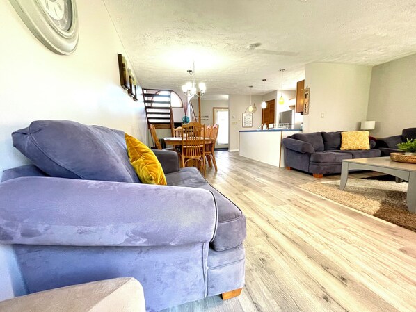 TV connectée, cheminée, lecteur de DVD, médiathèque