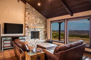 Smart TV, fireplace, books