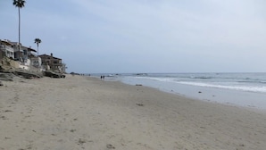 A beach with footprints, palm trees, and houses in the background. - Green Beach House 500' to the Waves- Electric Vehicle Charger! (Laguna Beach)