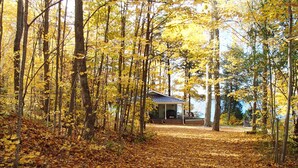 A cabin surrounded by a forest with autumn leaves on the ground.