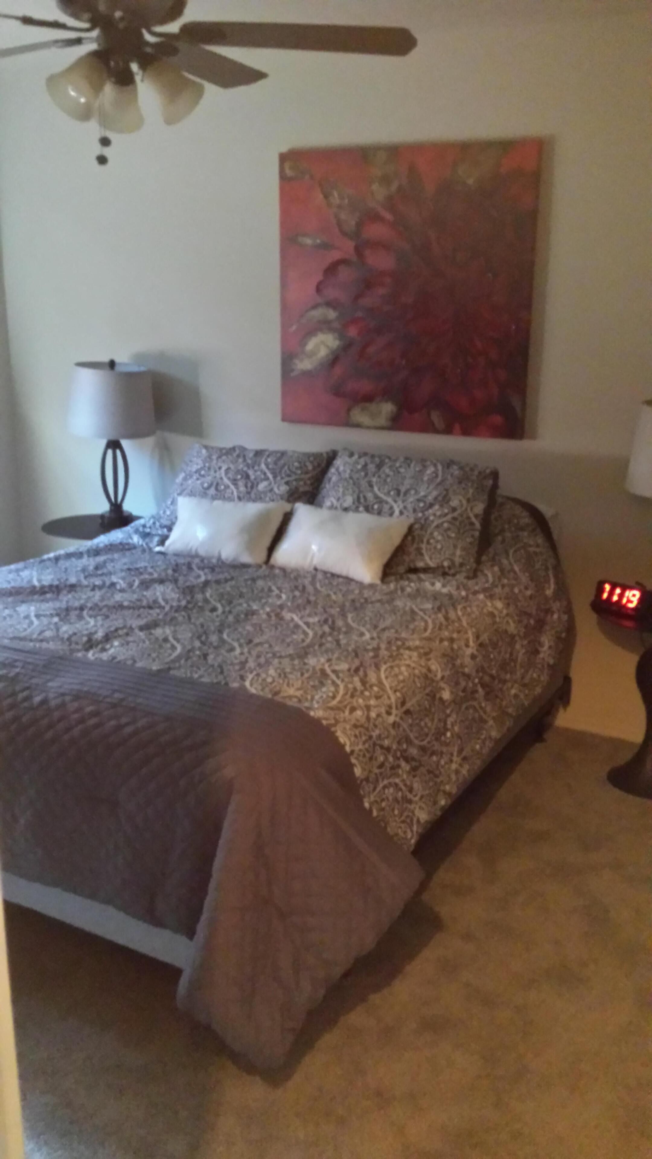 2 bedrooms, iron/ironing board, free WiFi, bed sheets