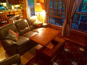 Smart TV, fireplace, DVD player, books