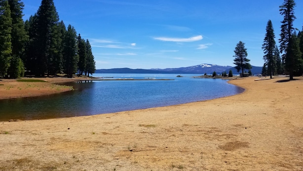 Une plage avec une eau d’un bleu limpide, un rivage sablonneux et de grands arbres.