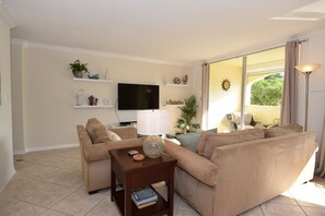 Smart TV, fireplace, DVD player, books