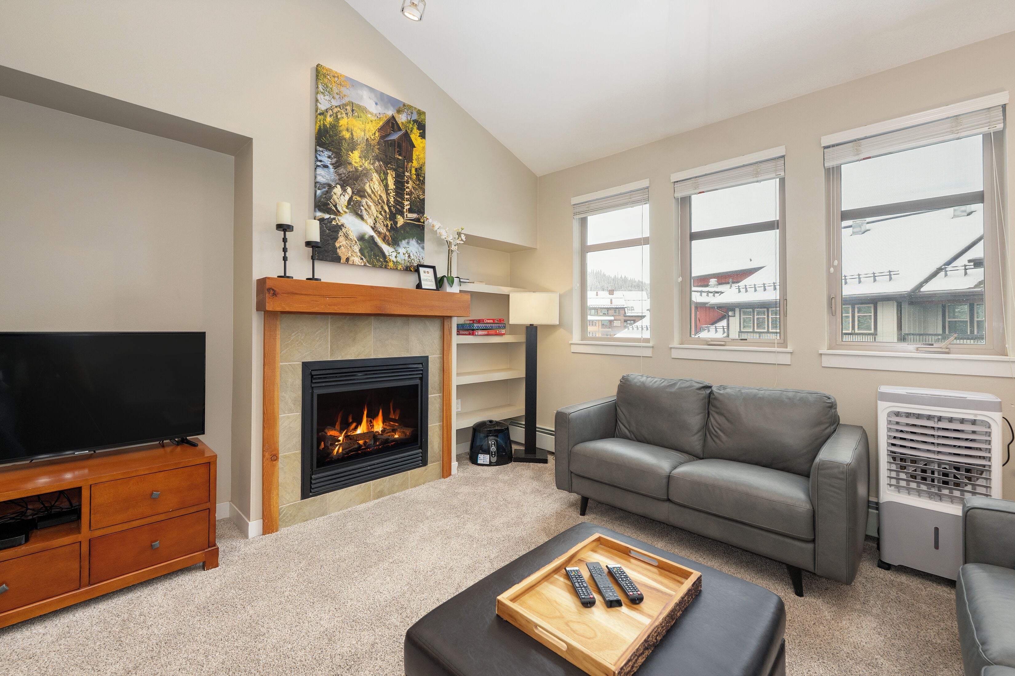 TV, fireplace, video games, DVD player