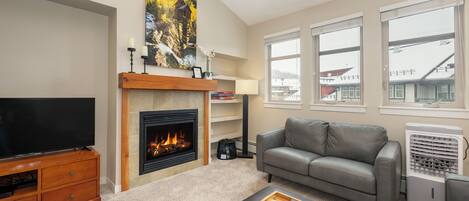 TV, fireplace, video games, DVD player