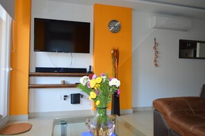 Smart TV, DVD player, books
