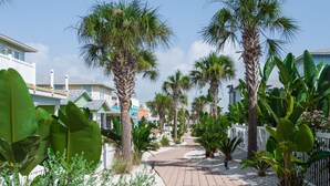 A paved pathway lined with palm trees and tropical plants, leading to a row of houses with white fences and a clear blue sky. - Serenity Sands Beach HouseFamily-Friendly Ocean View Home (PORT ARANSAS)