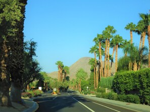 A road lined with tall palm trees and a mountain in the background. - Zen Pool Villa - Original Art & Vintage Design - Pool & Jacuzzi - Ironwood (Palm Desert)