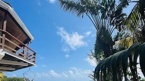 A pool area with lounge chairs, a hanging chair, and a view of the ocean. - OCEANSIDE 1ST FLOOR APT, OFF-GRID WITH INFINITY EDGE POOL, DOCK, A/C & SMART TV  (Caye Caulker)