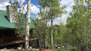A rustic cabin with a green roof, surrounded by a forested area with birch trees. - Custom Log Cabin w/ MTN Views, 10 min. to fishing! (Basalt)