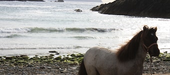 Péninsule de Dingle: Belle maison 'An Máimín' Ballyferriter, Dingle
