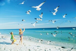 On the beach, sun loungers, beach towels