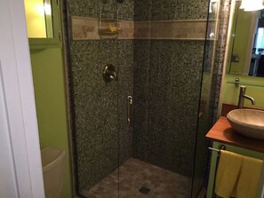 Douche, baignoire à jets, sèche-cheveux, serviettes fournies