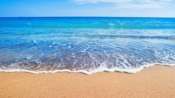 A beach with clear blue water and a sandy shore. - Luxurious Harbor “Elizabeth” Cottage! Walk & bike to everything (Nantucket)