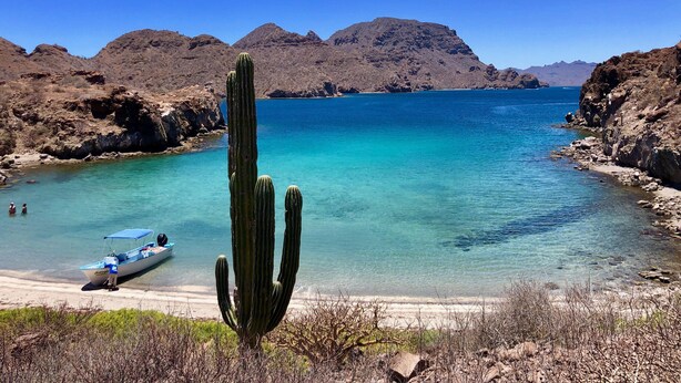 A clear view of a beach with a cactus in the foreground, a boat on the shore, and mountains in the background. - Charming Casa by the picturesque Sea of Cortes (Loreto)
