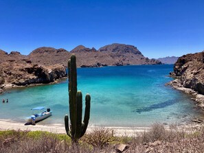 A clear view of a beach with a cactus in the foreground, a boat on the shore, and mountains in the background. - Charming Casa by the picturesque Sea of Cortes (Loreto)