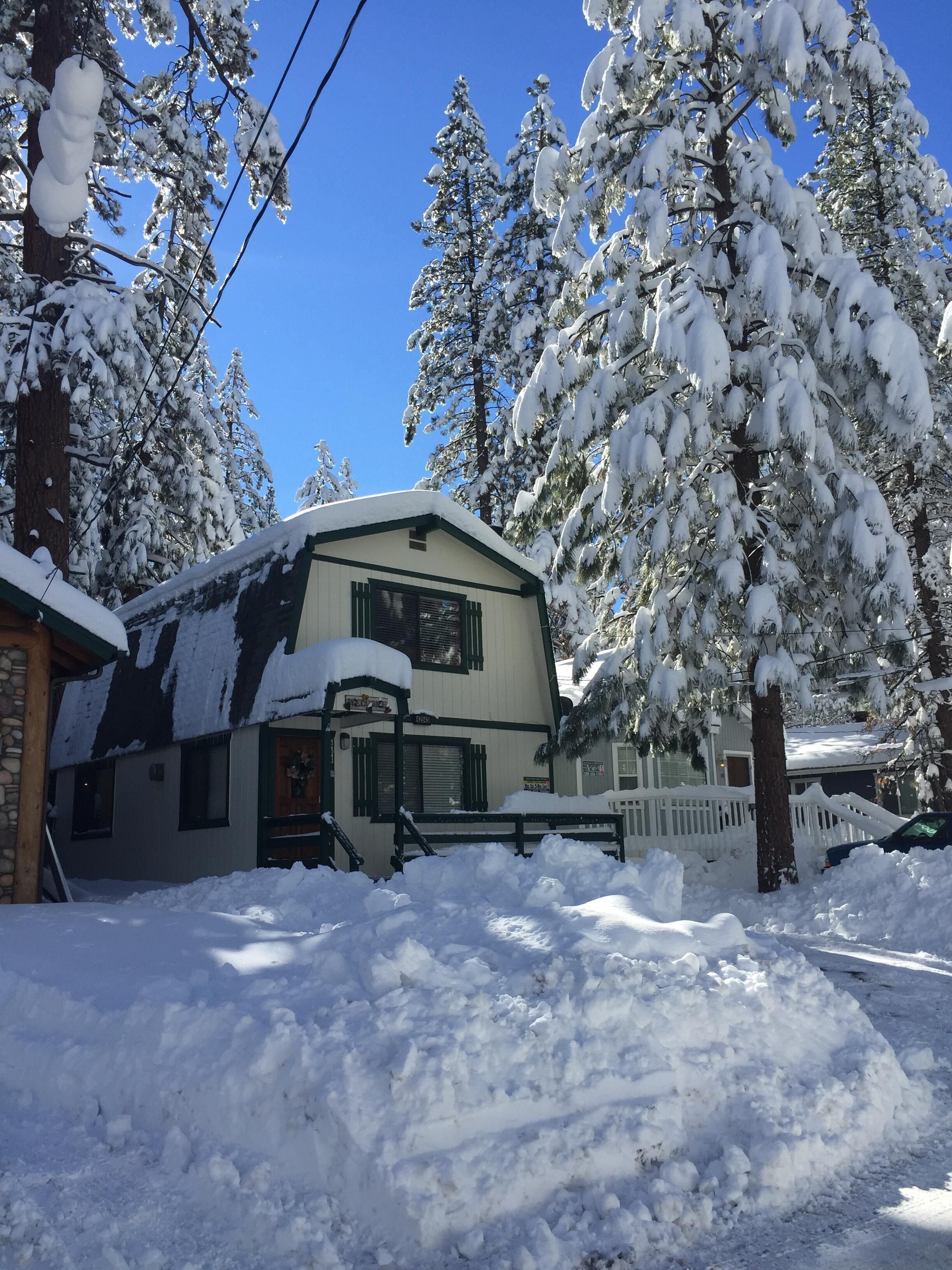 Welcome to our winter wonderland