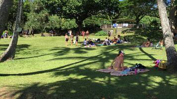 Guests can enjoy a serene outdoor park setting with lush trees and a grassy area.