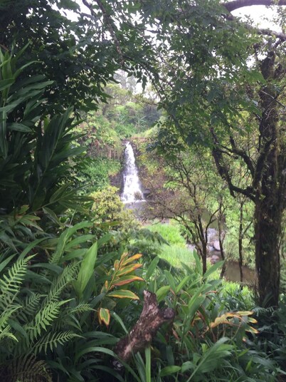 Welcome to the Hawaiian Breeze House