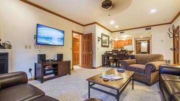 Smart TV, fireplace, DVD player, books