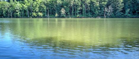 A calm lake surrounded by dense forest.